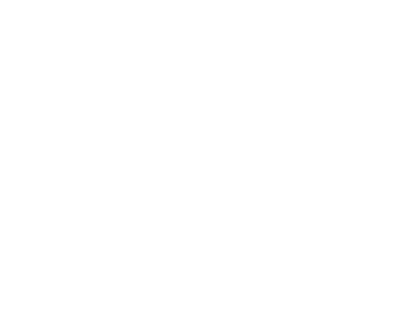 Milli Teknoloji Hamlesi